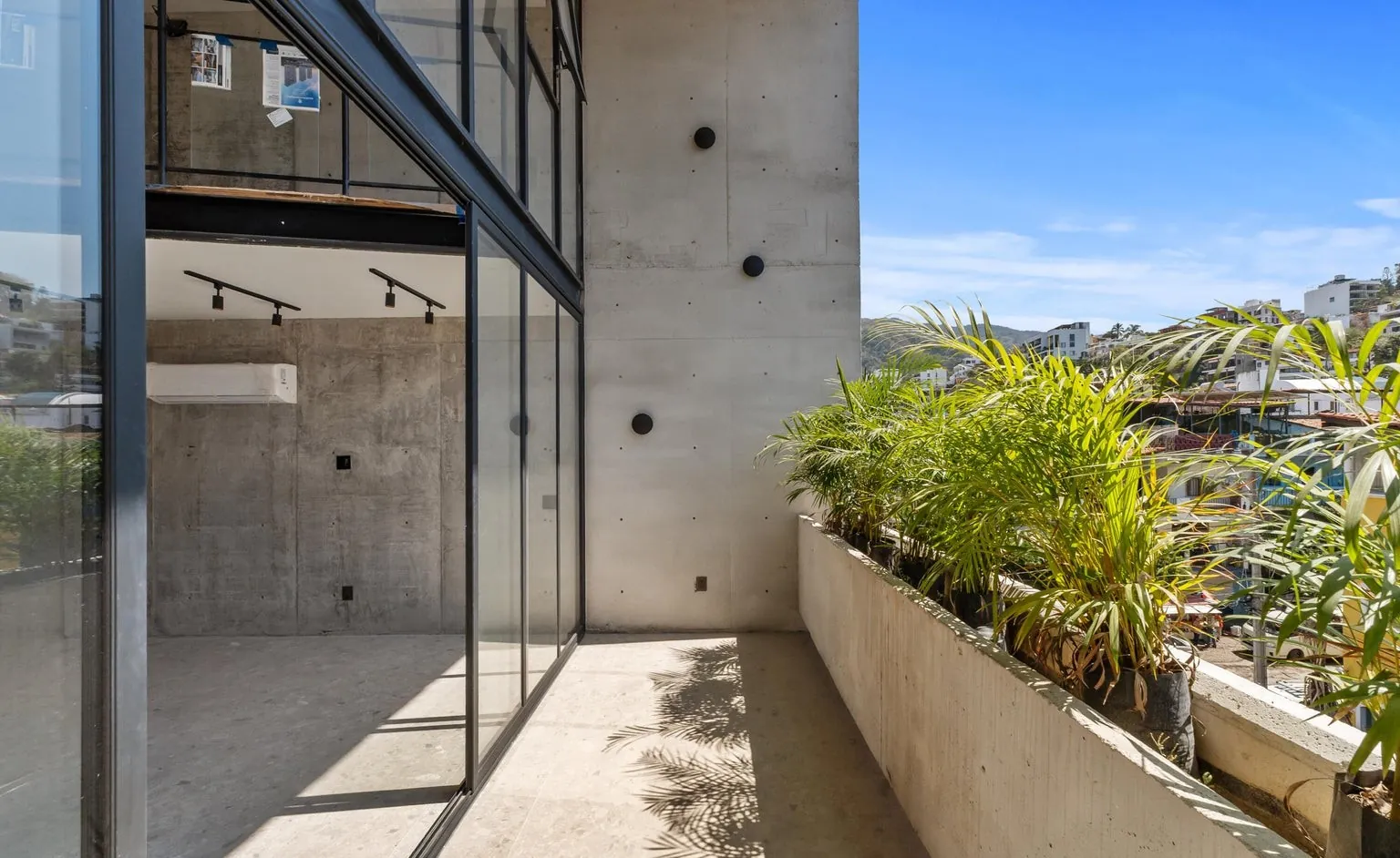 Terrace with palms and windows
